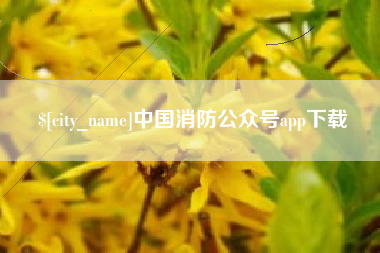吴忠中国消防公众号app下载