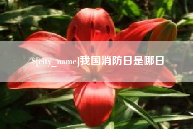 吴忠我国消防日是哪日