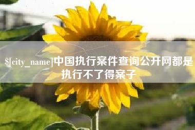 吴忠中国执行案件查询公开网都是执行不了得案子