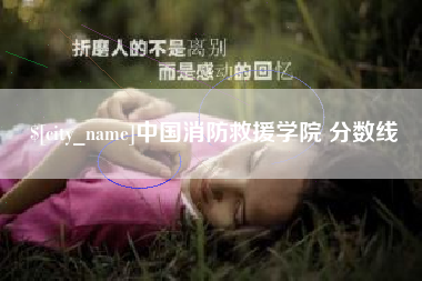 吴忠中国消防救援学院 分数线