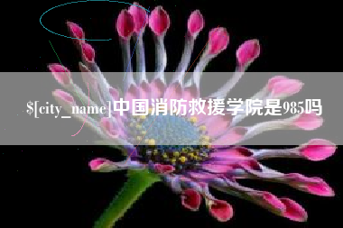 吴忠中国消防救援学院是985吗
