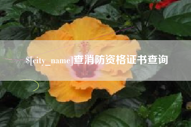 吴忠查消防资格证书查询