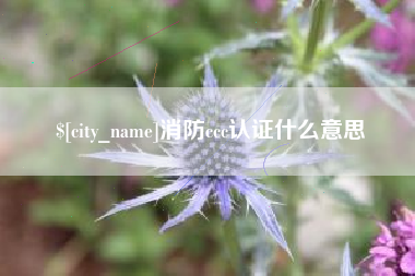 吴忠消防ccc认证什么意思