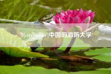 吴忠中国的消防大学