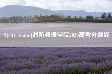 吴忠消防救援学院2020高考分数线