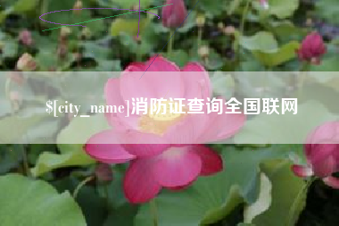 吴忠消防证查询全国联网