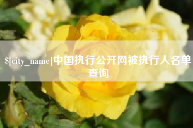 吴忠中国执行公开网被执行人名单查询