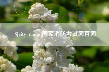 吴忠国家消防考试网官网