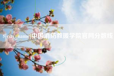 吴忠中国消防救援学院官网分数线