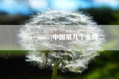 吴忠中国第九个金牌