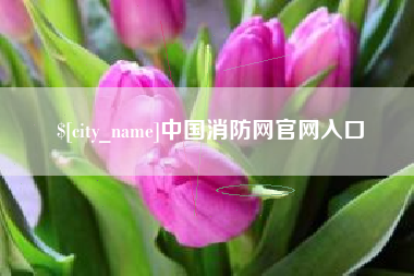 吴忠中国消防网官网入口