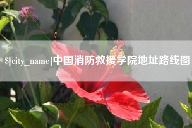 吴忠中国消防救援学院地址路线图