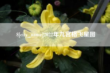 吴忠2022年九宫格飞星图