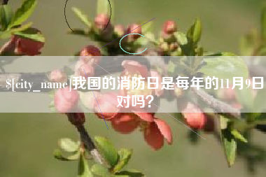 吴忠我国的消防日是每年的11月9日对吗？