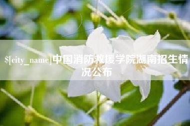 吴忠中国消防救援学院湖南招生情况公布