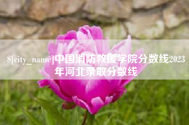 吴忠中国消防救援学院分数线2023年河北录取分数线