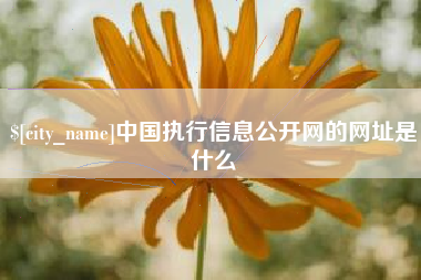 吴忠中国执行信息公开网的网址是什么