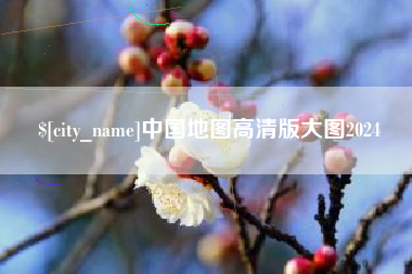 吴忠中国地图高清版大图2024