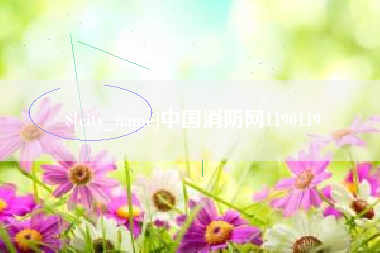 吴忠中国消防网1190119