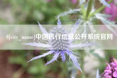 吴忠中国执行信息公开系统官网