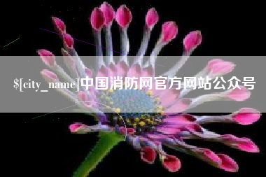 吴忠中国消防网官方网站公众号