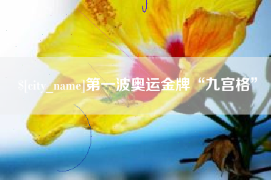 吴忠第一波奥运金牌“九宫格”