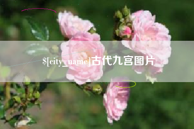 吴忠古代九宫图片