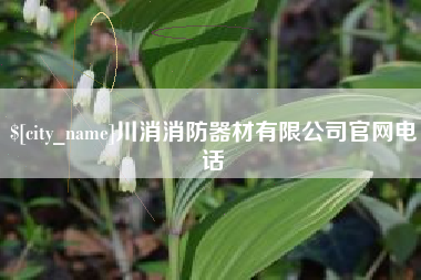吴忠川消消防器材有限公司官网电话