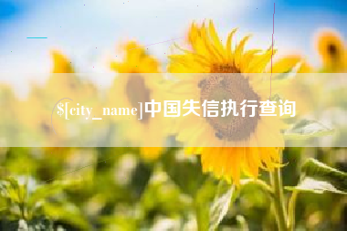 吴忠中国失信执行查询