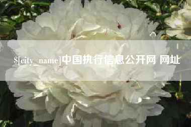吴忠中国执行信息公开网 网址