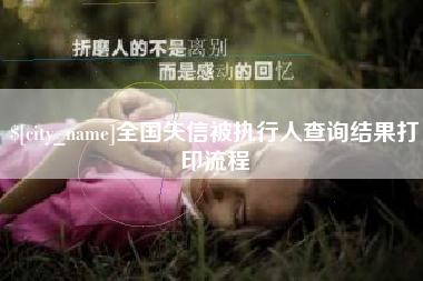 吴忠全国失信被执行人查询结果打印流程