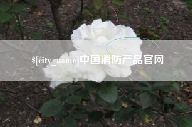 吴忠中国消防产品官网