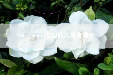 吴忠中国的几块金牌2021