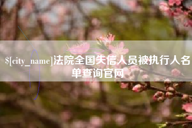 吴忠法院全国失信人员被执行人名单查询官网