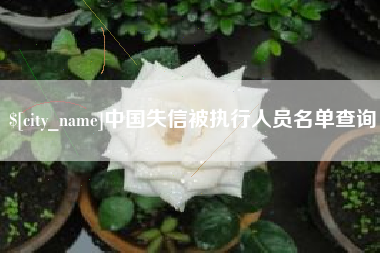 吴忠中国失信被执行人员名单查询