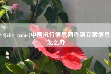 吴忠中国执行信息网查到立案信息怎么办