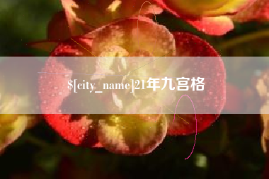 吴忠21年九宫格