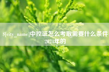 吴忠中控证怎么考取需要什么条件2024年的