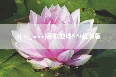 吴忠谷歌地球2024超清版