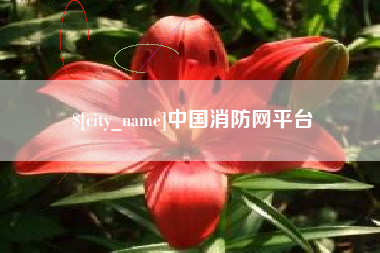 吴忠中国消防网平台