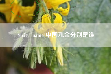 吴忠中国九金分别是谁