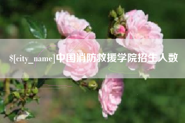吴忠中国消防救援学院招生人数