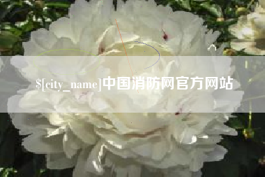 吴忠中国消防网官方网站