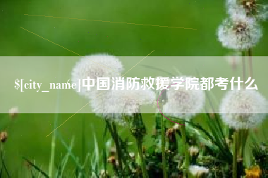 吴忠中国消防救援学院都考什么