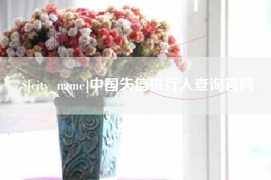 吴忠中国失信执行人查询官网