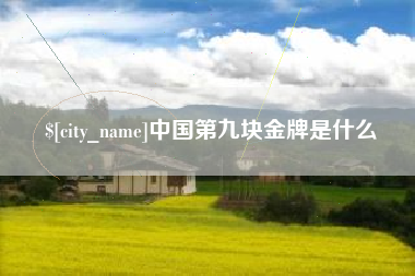 吴忠中国第九块金牌是什么