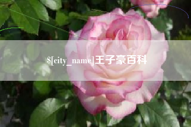 吴忠王子豪百科