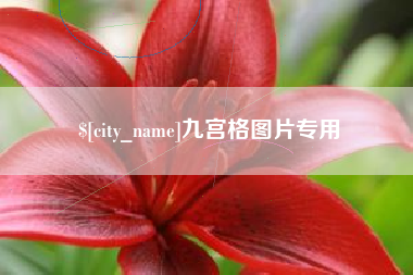 吴忠九宫格图片专用