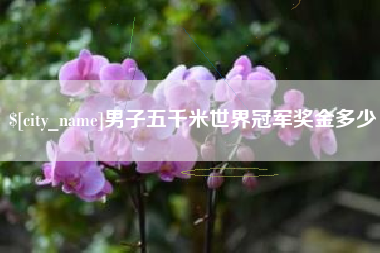 吴忠男子五千米世界冠军奖金多少