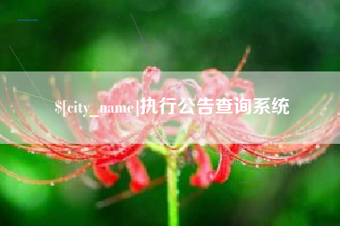 吴忠执行公告查询系统